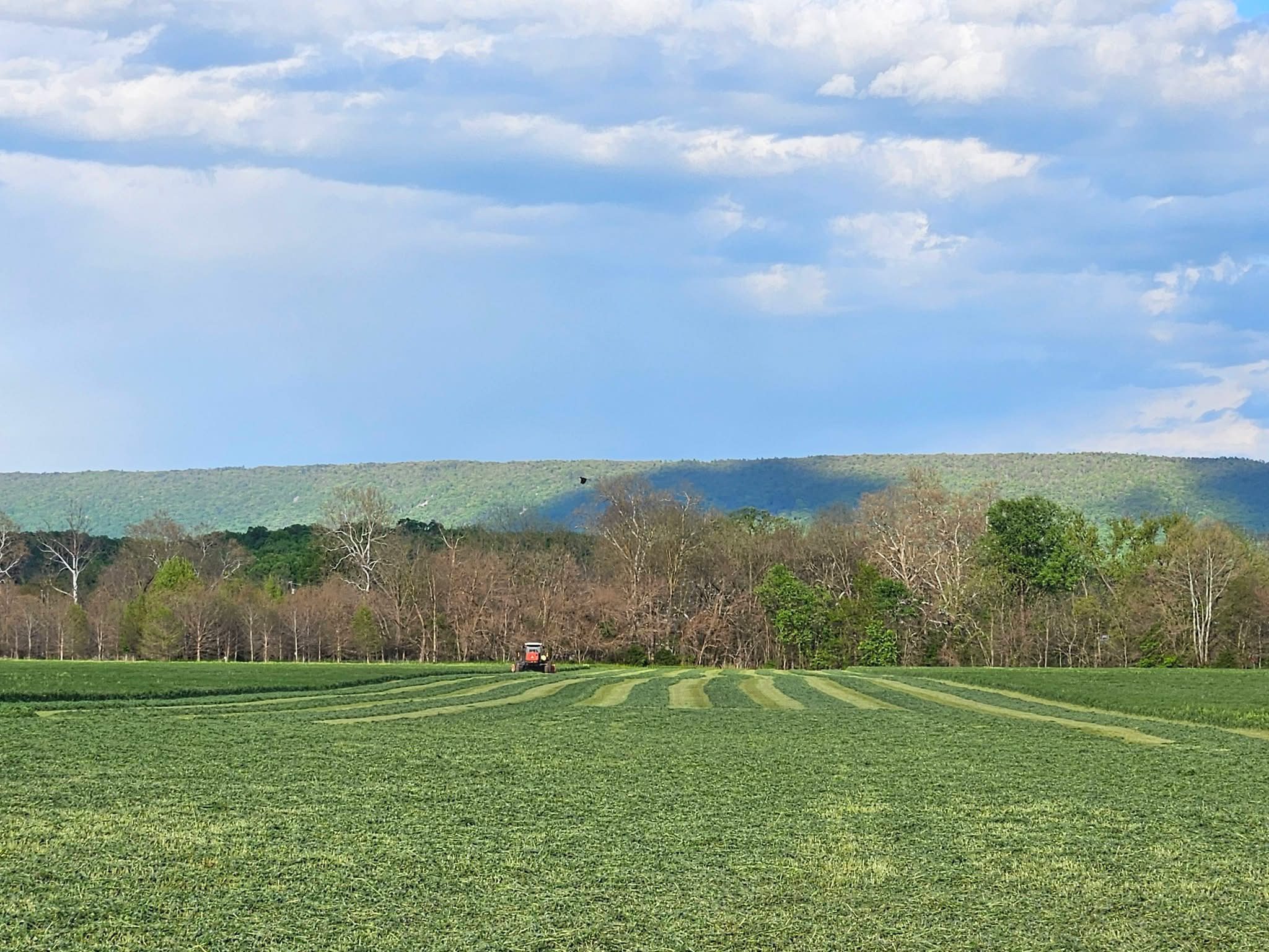 Red tractor mowing green field with hills